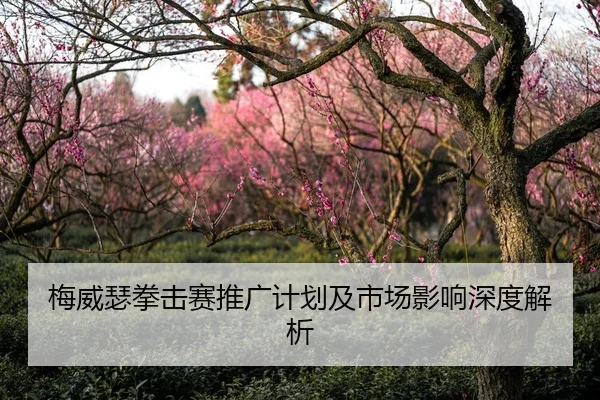 梅威瑟拳击赛推广计划及市场影响深度解析 | 8868Sports